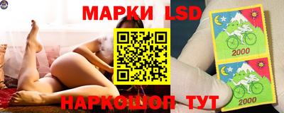 МДПВ Лесосибирск